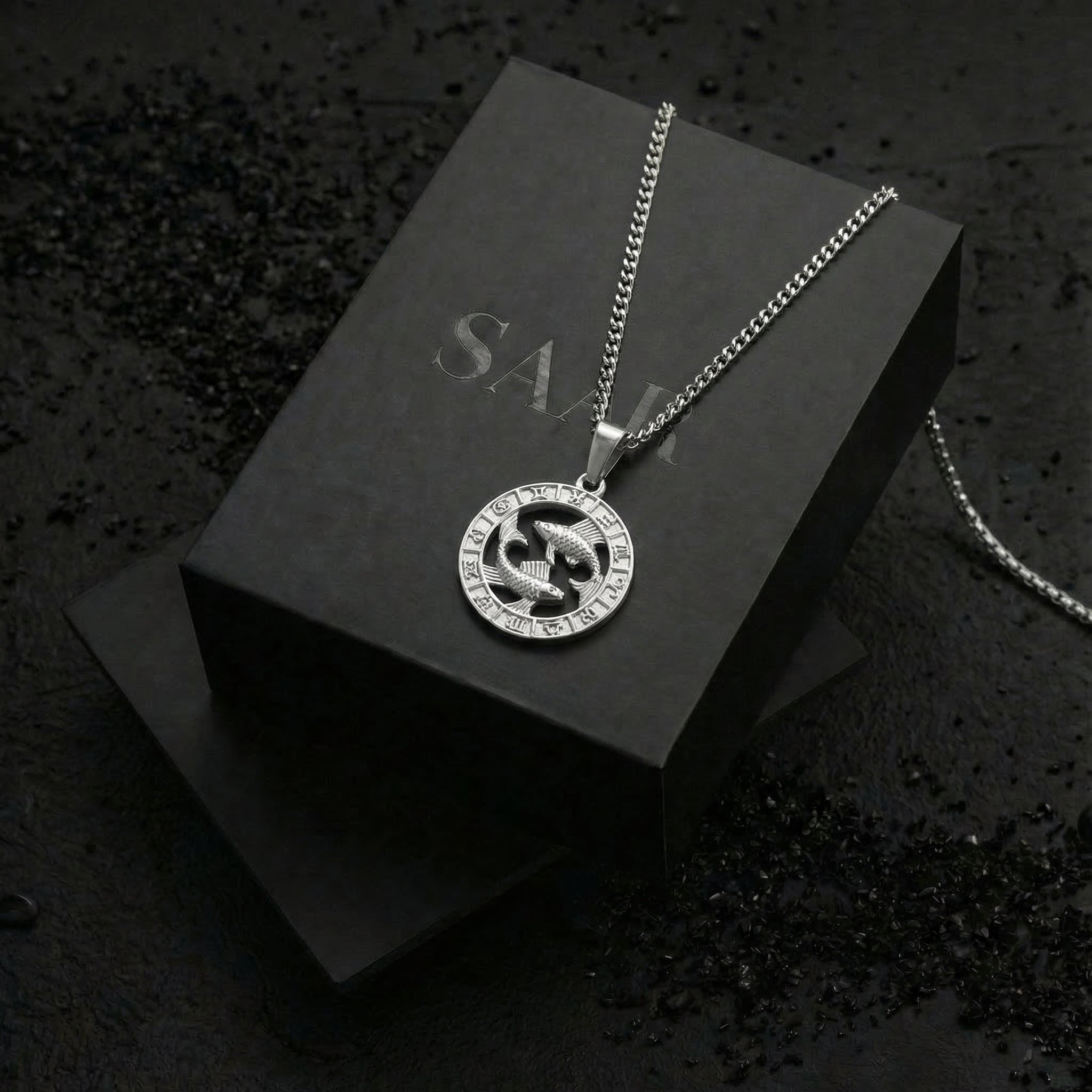 Stainless Steel Pisces Zodiac Pendant and chain