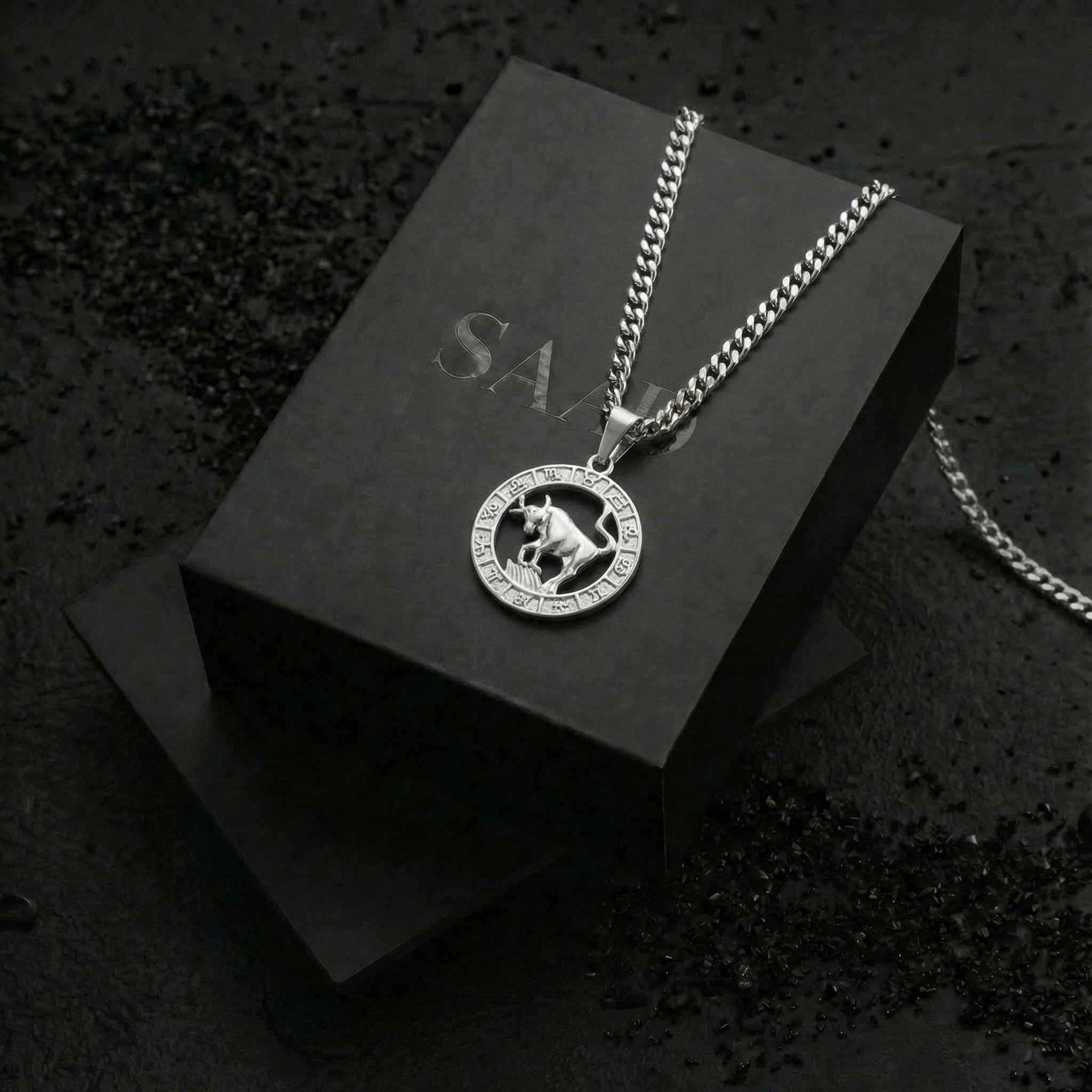 Stainless Steel Taurus Zodiac Pendant and Chain
