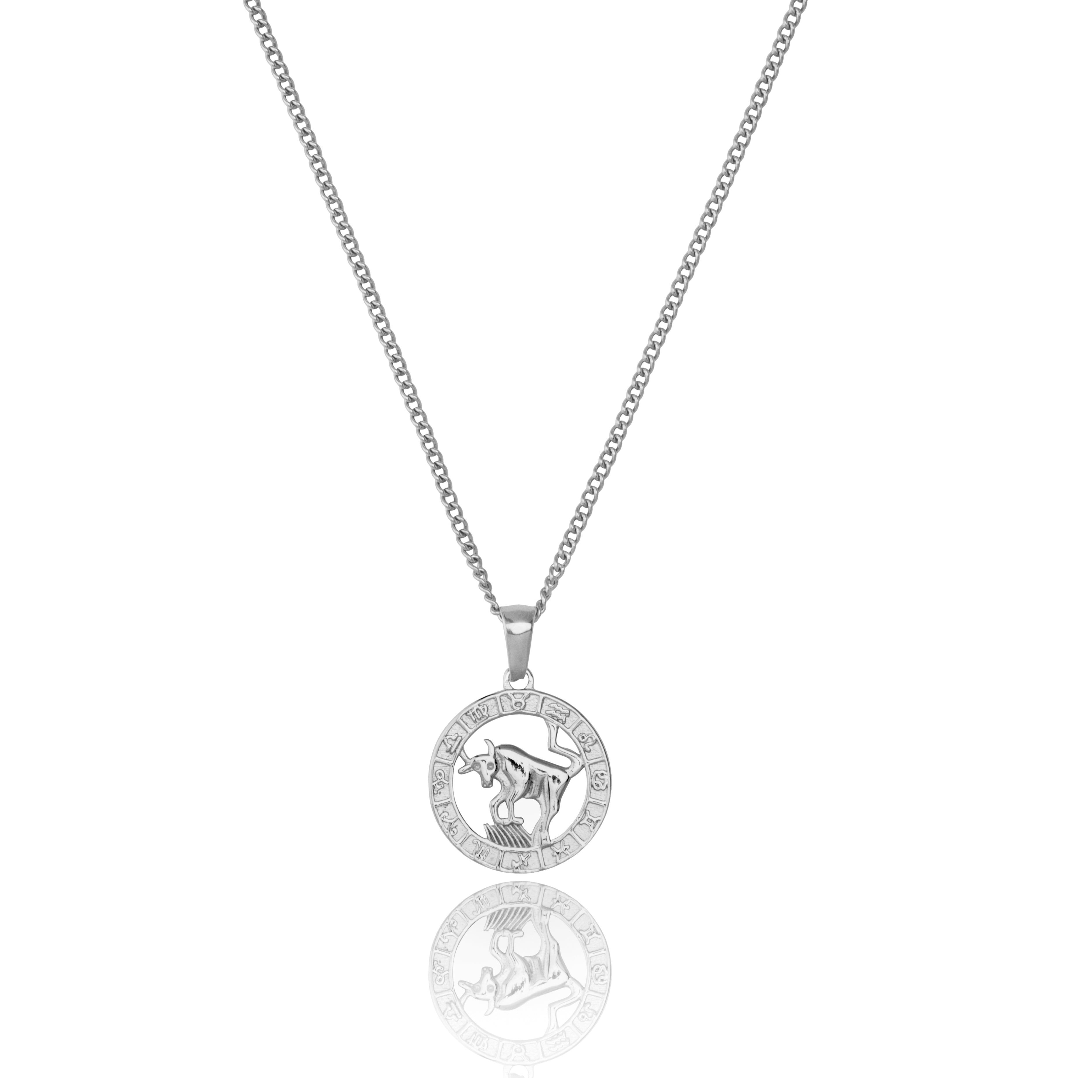 Stainless Steel Taurus Zodiac Pendant and Chain